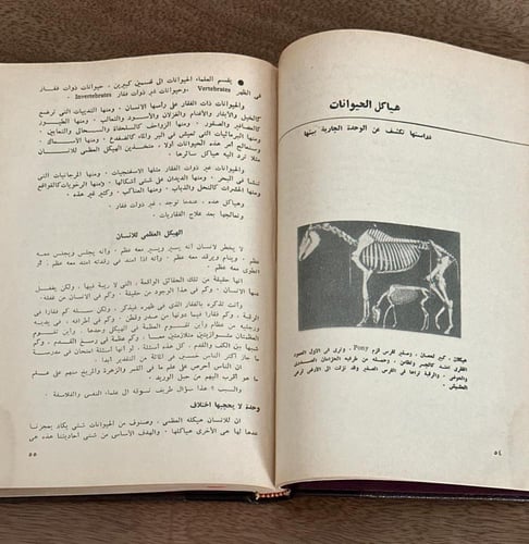 مع الله في الأرض