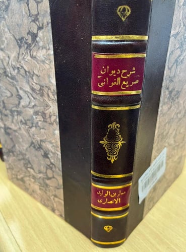 شرح ديوان صريع الغواني - ذخائر العرب