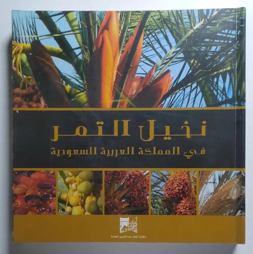نخيل التمر في المملكة العربية السعودية - مقاس كبير...