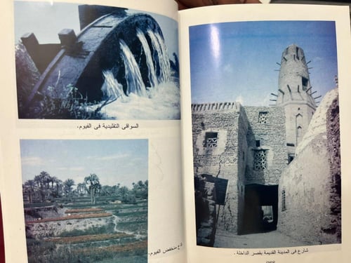 صحراء مصر الغربية - مجلد ضخم