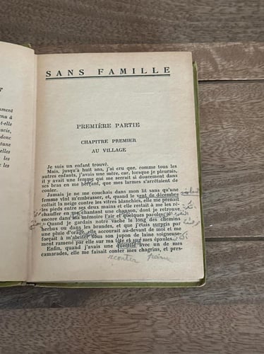 Sans famille