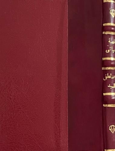 قصة حياتي أحمد السيد