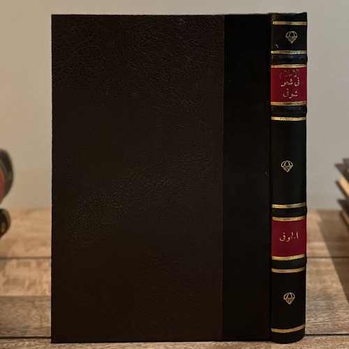 الإسلام في شعر شوقي