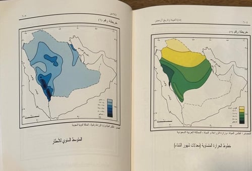 صفحات من تاريخ نجد .. إمارة العيينة وتاريخ آل معمر
