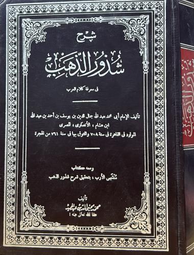 شرح شذور الذهب في معرفة كلام العرب