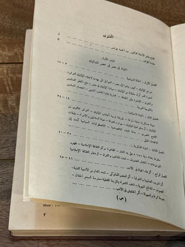 الأدب العامي في مصر في العصر المملوكي