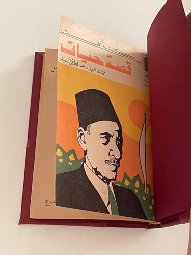 قصة حياتي أحمد السيد