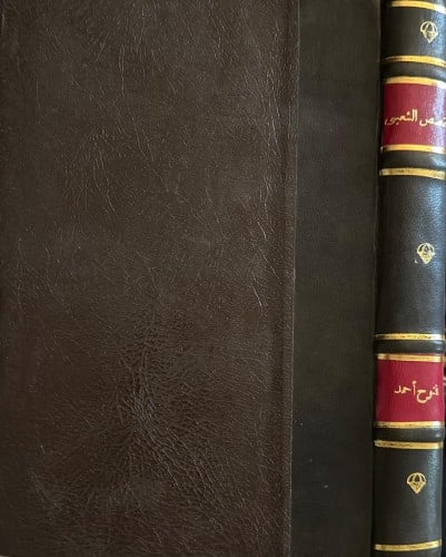 القصص الشعبى في الدقهلية