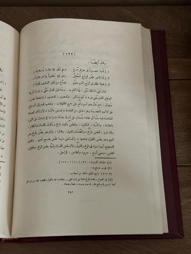 شرح المختار من لزوميات أبي العلاء القسم الثاني