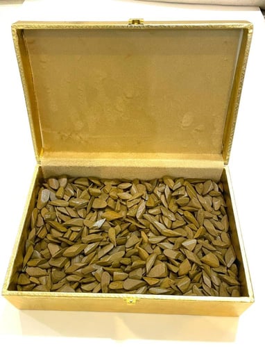 عود مروكي محسن احجام صغيرة 550