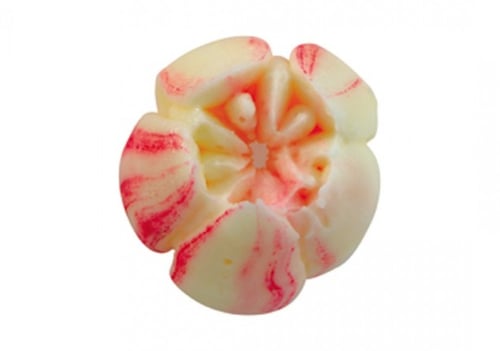 BX 0051 قمع وردة