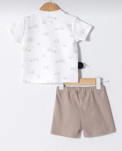 صندوق بقطعتين من بولو