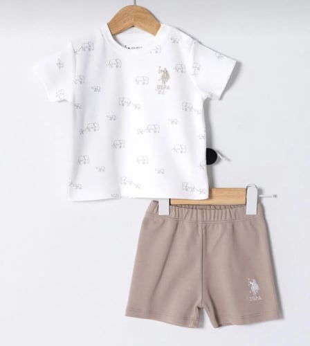 صندوق بقطعتين من بولو