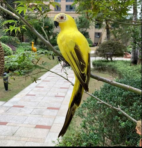 طائر الببغاء الاصطناعي زينة للحديقة والاستراحات