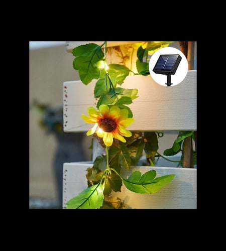 زينه نبات متعددة الاستخدام