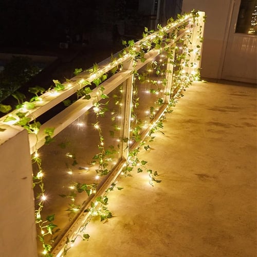 زينه نبات متعددة الاستخدام