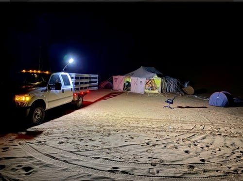 كشاف شريحة سنارة 3950 مع مغناطيس كريمي