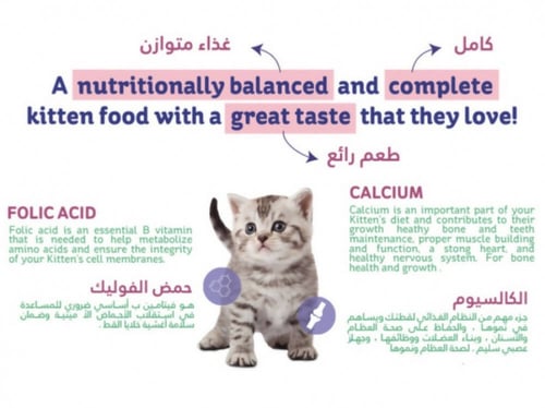 هريرة طعام جاف للقطط الصغيرة بالدجاج والخضار بعدة...