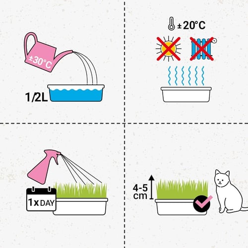 جيم كات عشب مع عبير المرج للقطط GimCat 150g