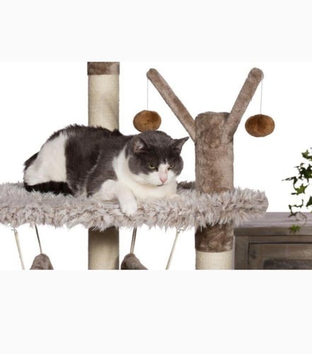 بريفيو خداشة دورين مع سريرين وبيت للقطط Prevue pet...