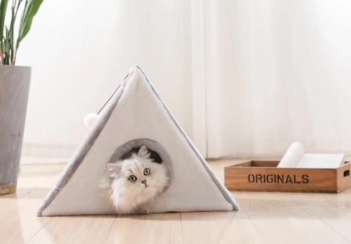 بيت قطه مع خداشة ولعبة للقطط على شكل مثلث