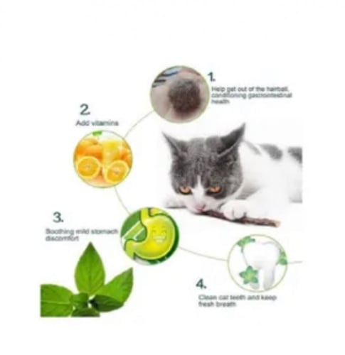 اعواد النعناع البري للمضغ لتنظيف اسنان القطط 10 اع...