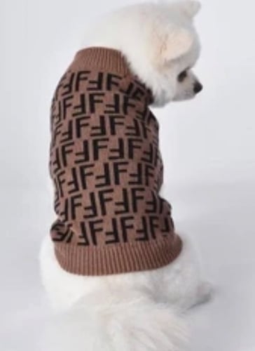 Fendi sweater