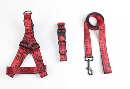 Offwhite leash and harness