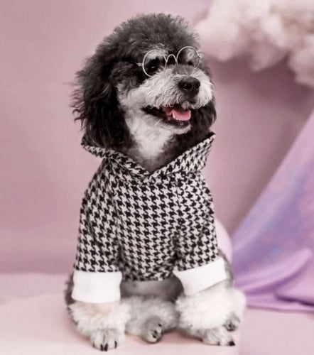 كنزة (هودي) مقاس XL