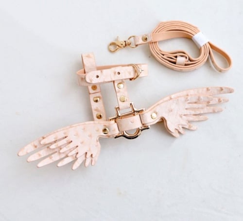 Angel wings harness with leash