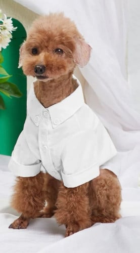 قميص صيفي ابيض