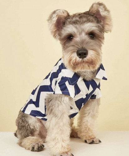 قميص كحلي وابيض بمقاسات