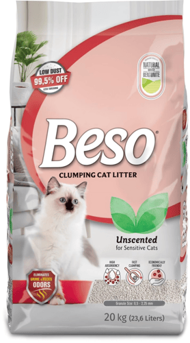 رمل بيسو عالي التكتل قليل الغبار بعدة روائح Beso 2...