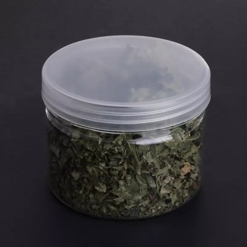 عشبة النعناع البري الكاتنيب بعدة احجام