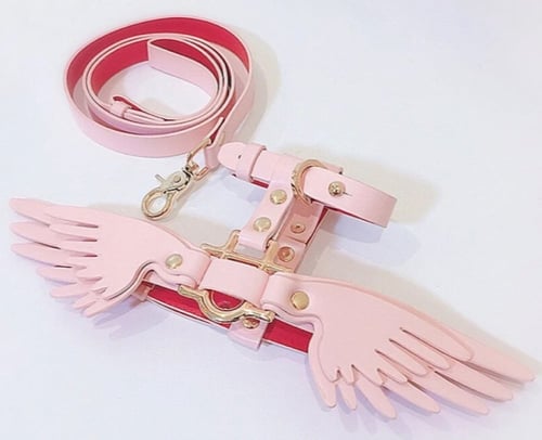 Angel wings harness with leash