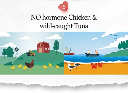 ناتشورال كيتي معلبات طبيعية بالتونا للقطط Natural...