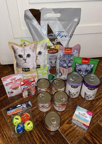 بوكس دلّع قطك