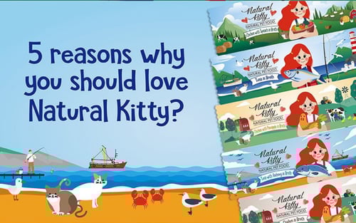 ناتشورال كيتي معلبات طبيعية بالتونا والانشوفة للقط...