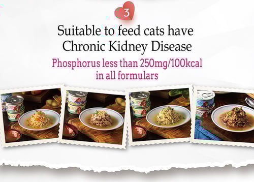 ناتشورال كيتي معلبات طبيعية بالدجاج للقطط Natural...