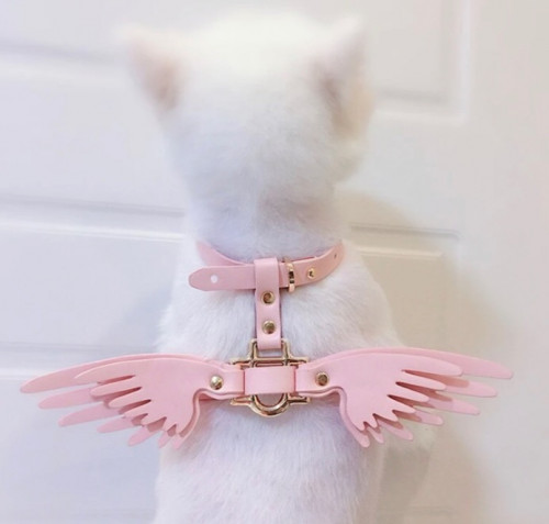 Angel wings harness with leash