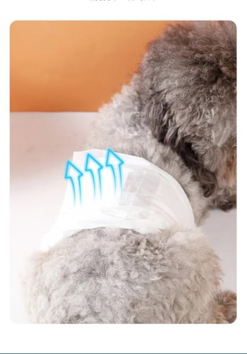 حفاضات صحية للقطط والكلاب بعدة احجام