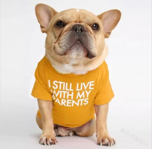 تيشيرت i still live with my parents