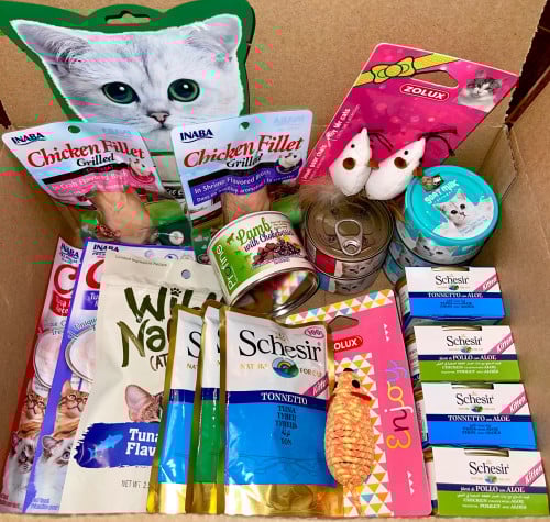 بوكس الكيتن 2-12 شهر