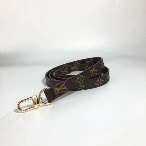 LV harness with leash
