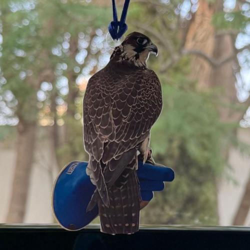 تعليقة الصقر اكريلك