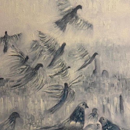 سماء الطيور