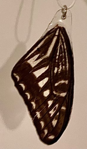 تعليقة جناح ( التفاصيل DM انستا )