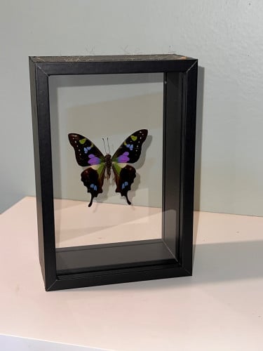 إيطار خشب 6 inch