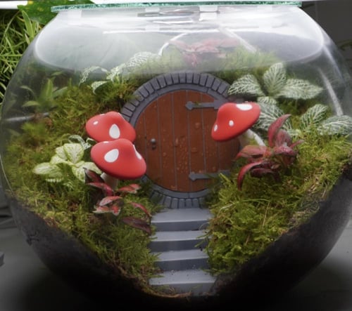 ابجورة بلاد العجائب