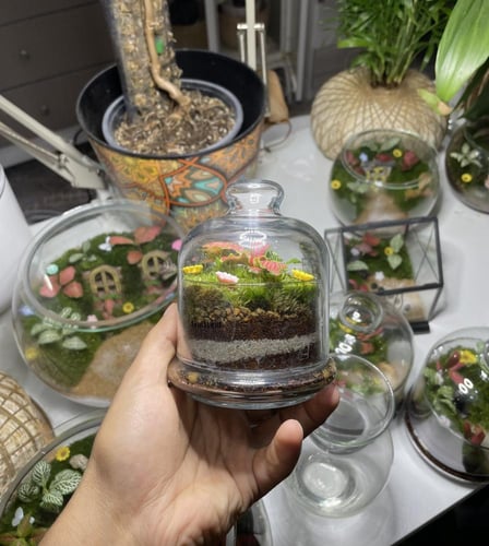 غابة زجاجية صغيرة